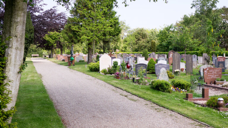 Hardnekkige dief steelt van graven op begraafplaats Bergen