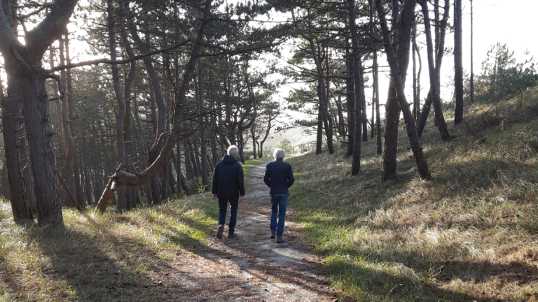 Succesvolle opstart van wandelprogramma voor dementerenden in gemeente Bergen