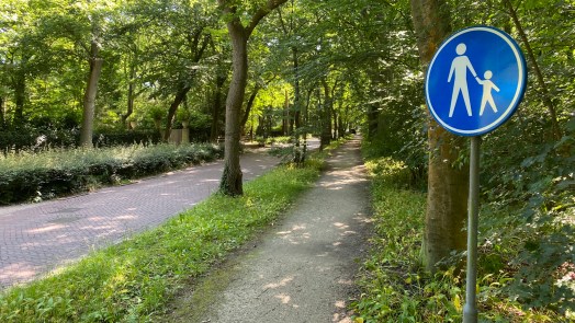 Raad van State veegt plan voor nieuw fietspad langs Eeuwigelaan in Bergen van tafel; verder onderzoek nodig