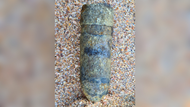 Visser vindt antitank granaat op strand van Castricum: ‘We zijn hem dankbaar’